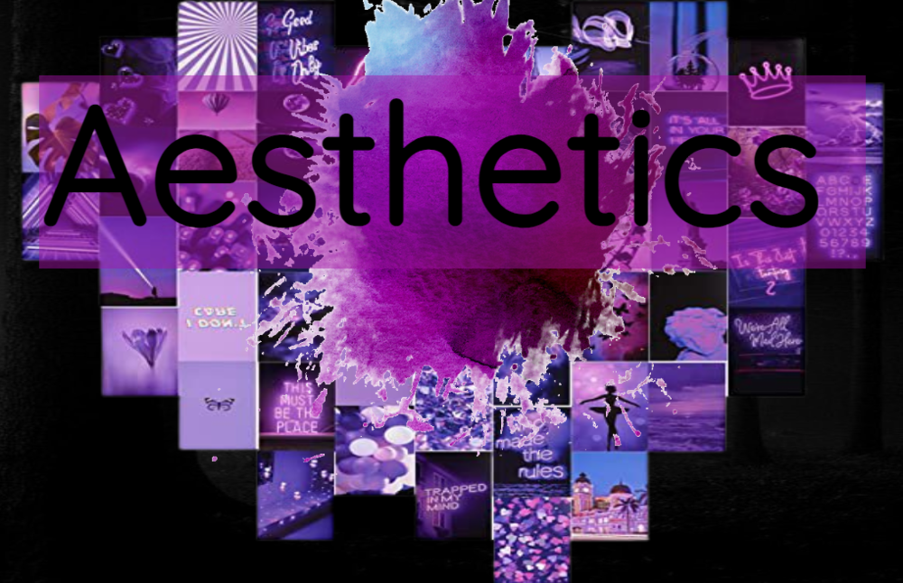 Aesthetics Banner 3.png