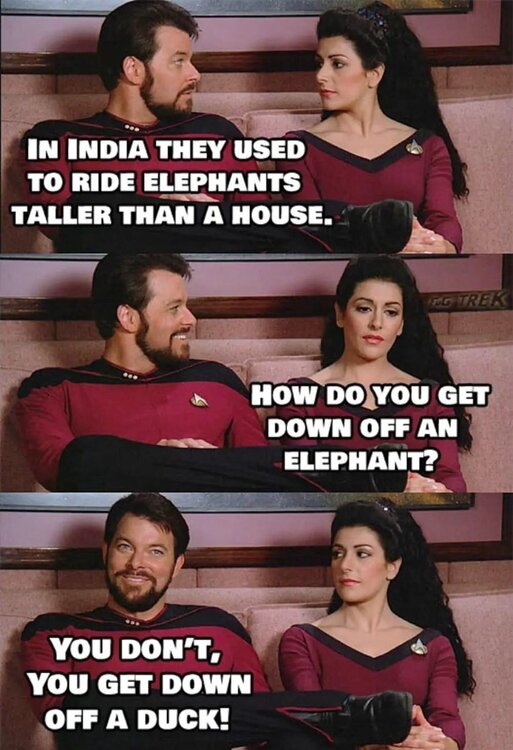 bb98l322zcva1 (1).jpg